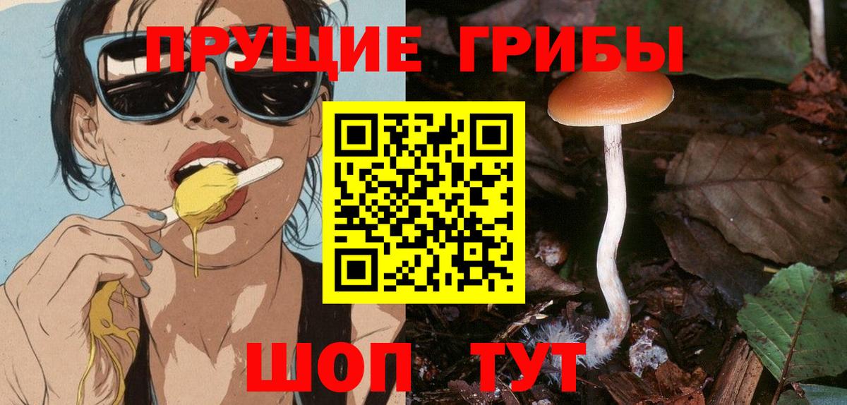 Котовск  Галлюциногенные грибы Psilocybine cubensis  Вход с VPN 