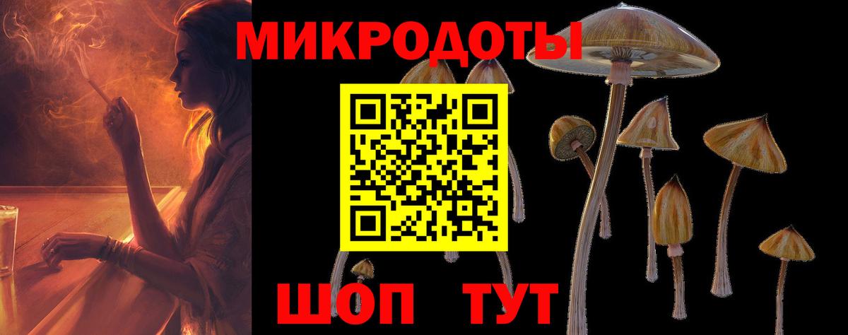 Галлюциногенные грибы GOLDEN TEACHER Котовск